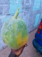 Papaye Solo Extra-Fraîche (Diouf Production) – Image 4